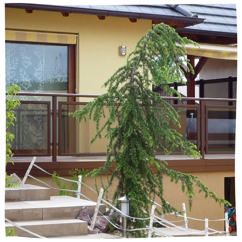 Garde-corps Dublin à Caen - GM Rénovation